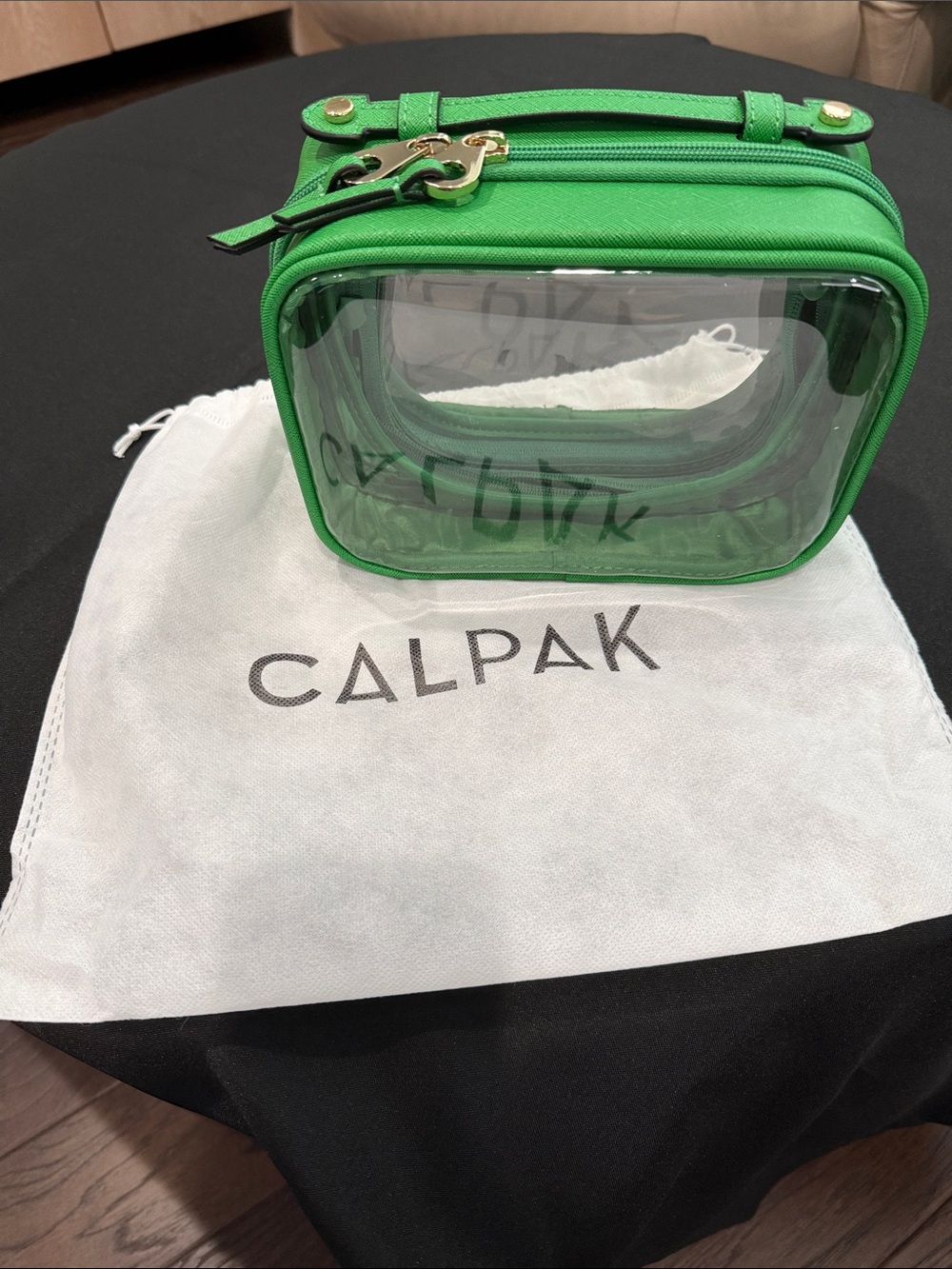 Small Calpak Clear Emerald Travel Pouch with Gold Hardware